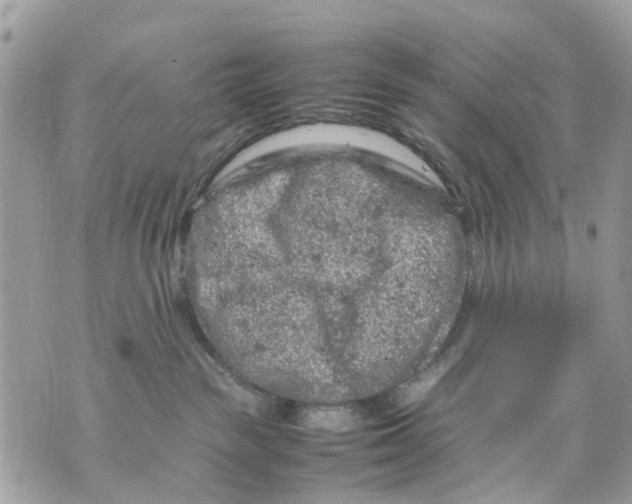 X0000070190189200606161600