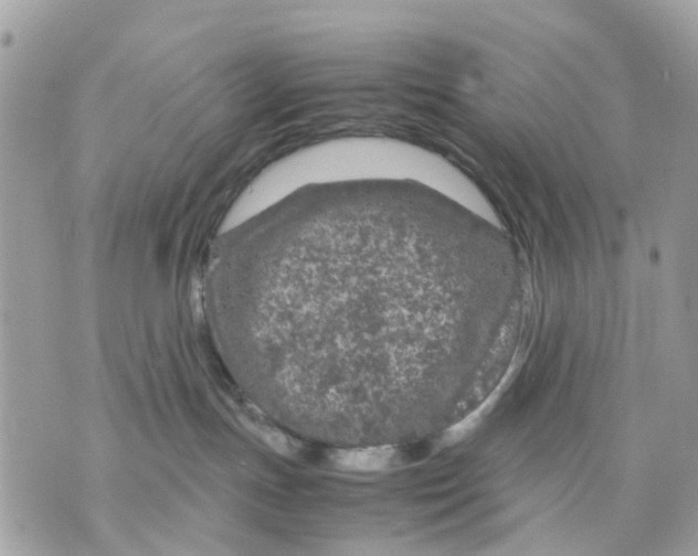 X0000070190191200606161600