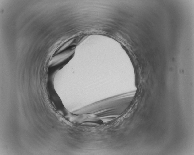 X0000070190193200606161559