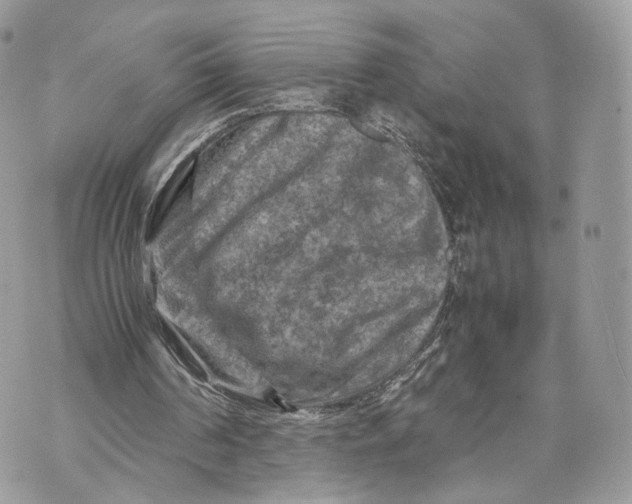 X0000070190194200606161559