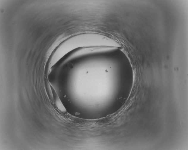 X0000070190195200606161559