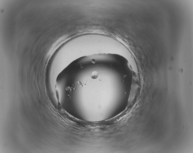 X0000070190199200606161559