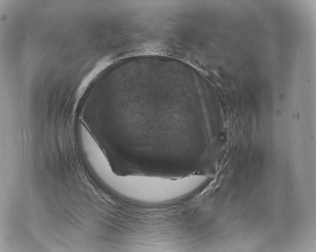 X0000070190200200606161559