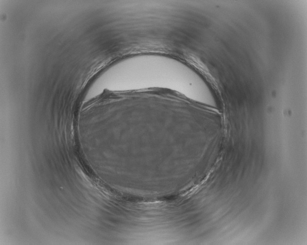 X0000070190202200606161559