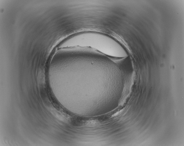 X0000070190204200606161559