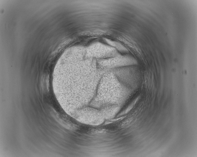 X0000070190206200606161559