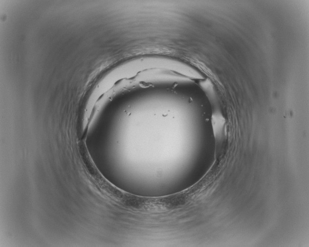 X0000070190207200606161559