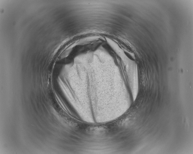 X0000070190208200606161559