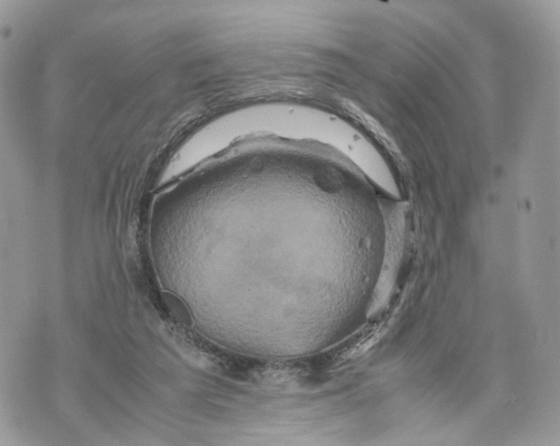 X0000070190209200606161559