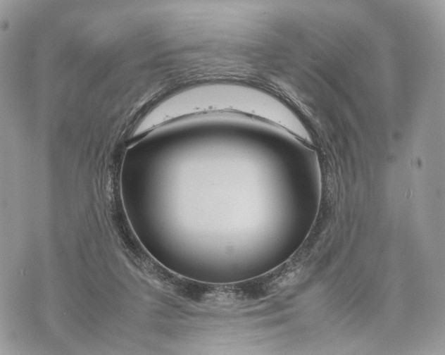 X0000070190211200606161559