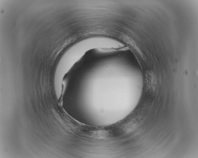 X0000070190212200606161559