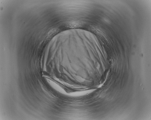 X0000070190214200606161559