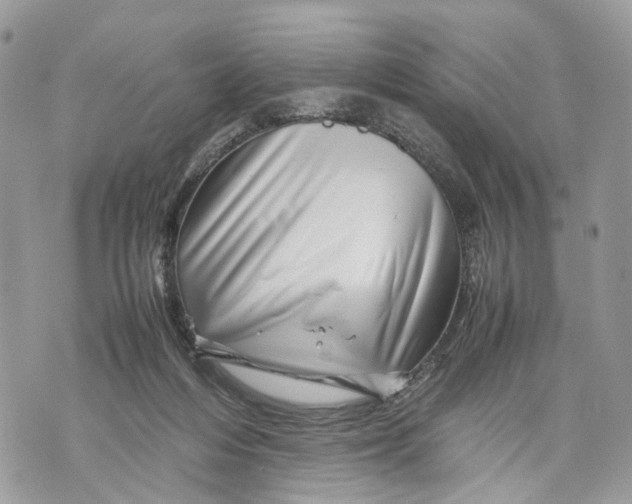 X0000070190216200606161559