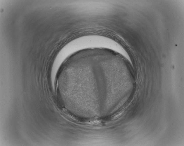 X0000070190217200606161559