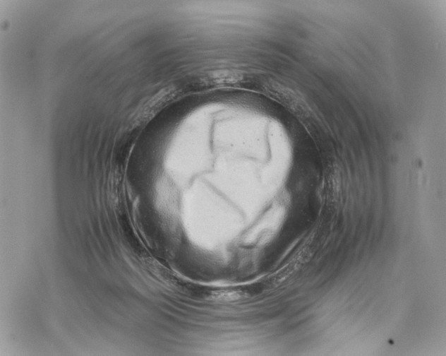 X0000070190218200606161559