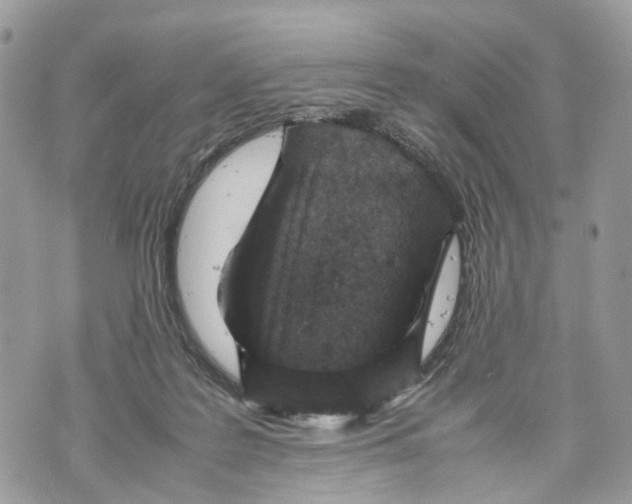 X0000070190219200606161559