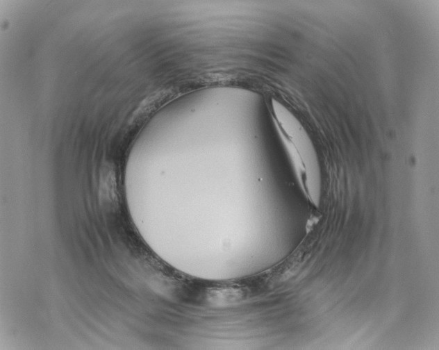 X0000070190220200606161559