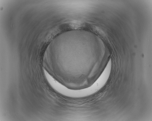 X0000070190221200606161559