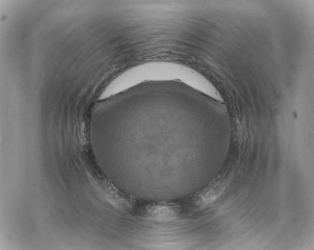 X0000070190224200606161559