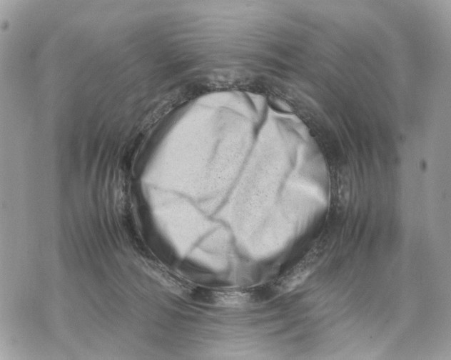 X0000070190226200606161559