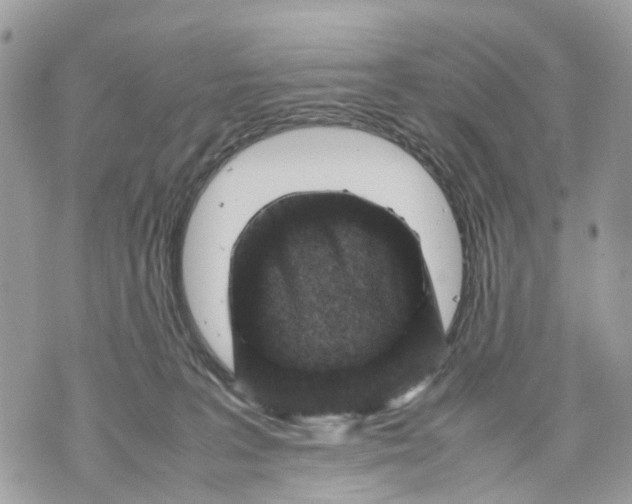 X0000070190227200606161559