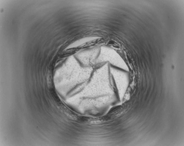 X0000070190228200606161559