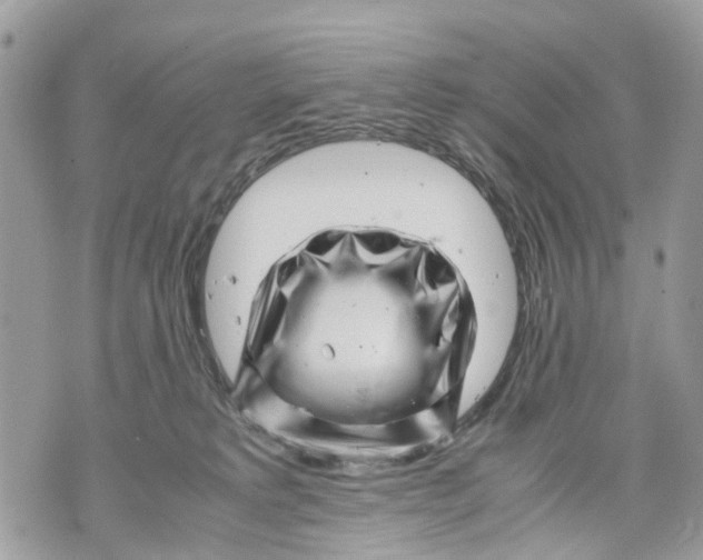 X0000070190229200606161559