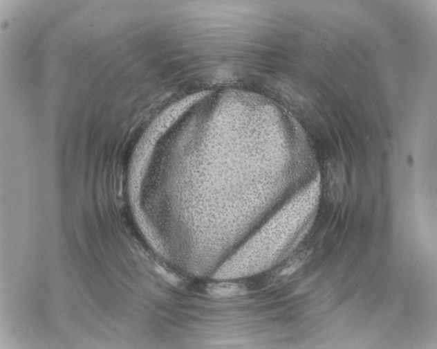 X0000070190230200606161559