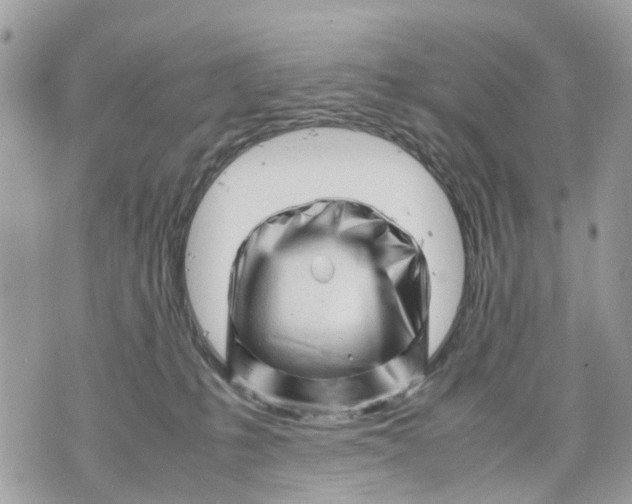 X0000070190231200606161559