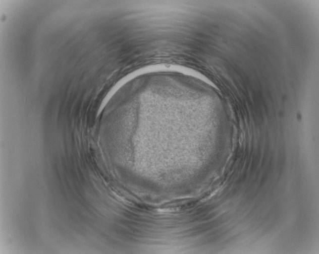 X0000070190232200606161559