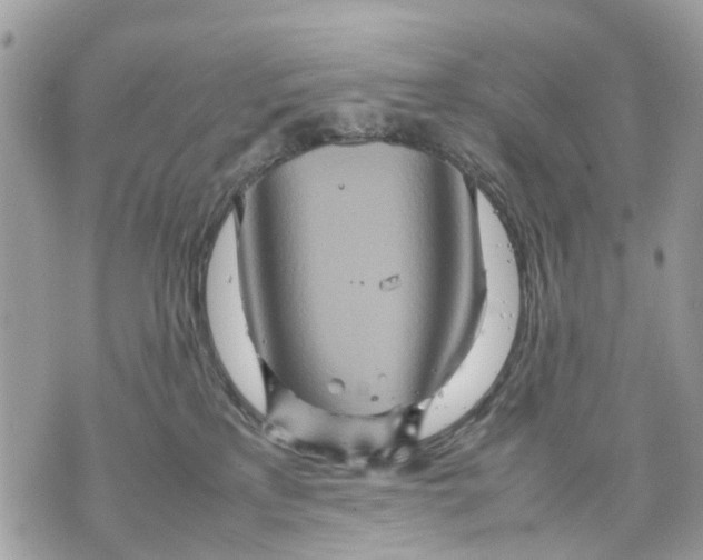 X0000070190233200606161559