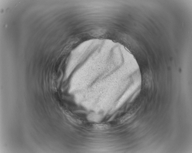 X0000070190234200606161559