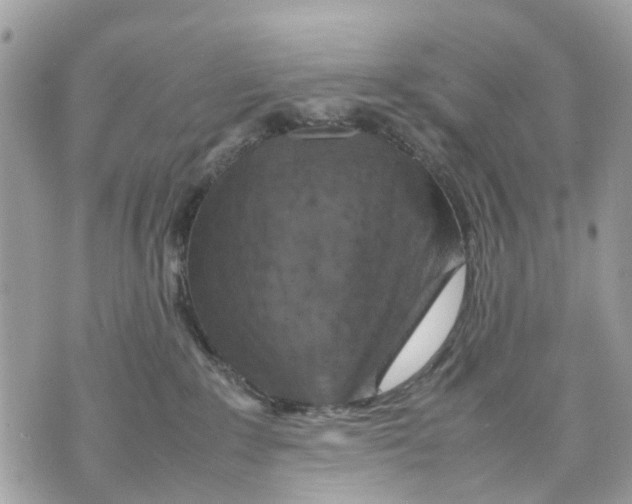 X0000070190235200606161559