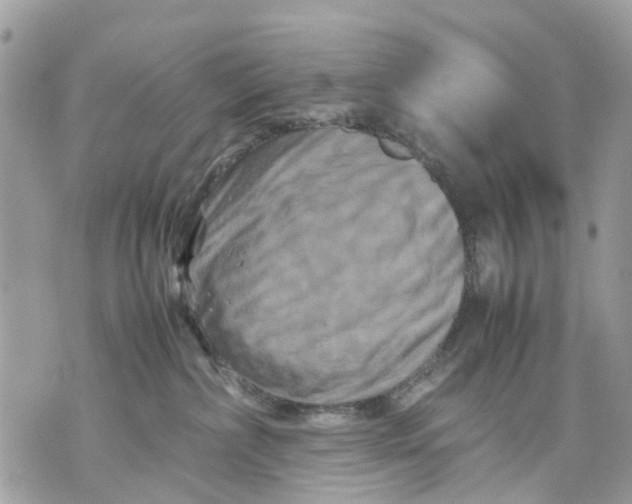 X0000070190236200606161559