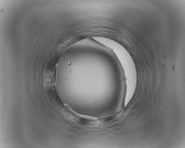 X0000070190237200606161559