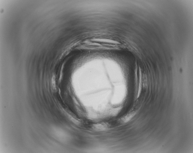 X0000070190238200606161559