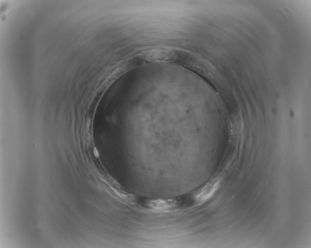 X0000070190239200606161559