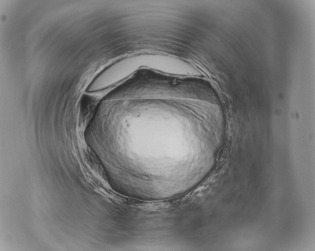 X0000070190241200606161558