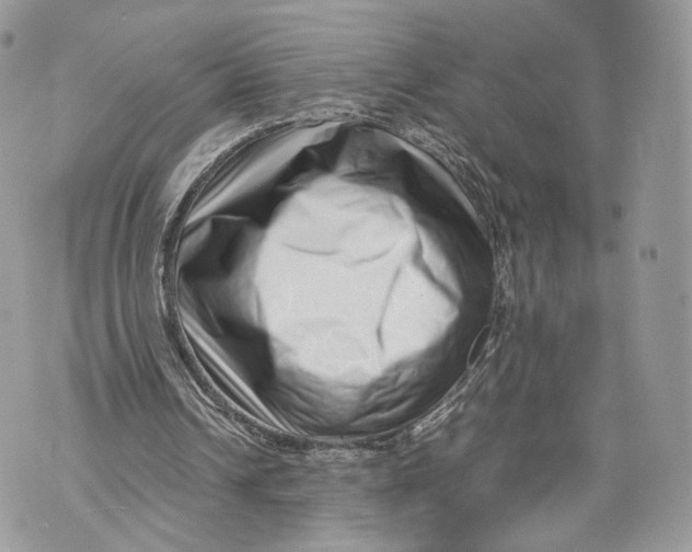 X0000070190242200606161558