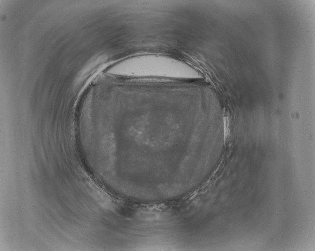 X0000070190243200606161558