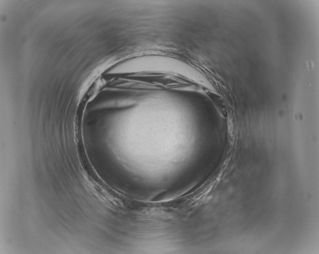 X0000070190244200606161558