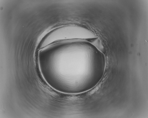 X0000070190246200606161558