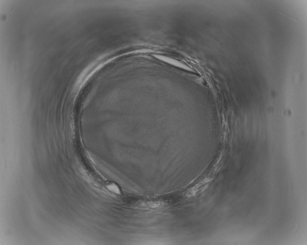 X0000070190247200606161558