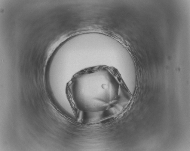 X0000070190248200606161558