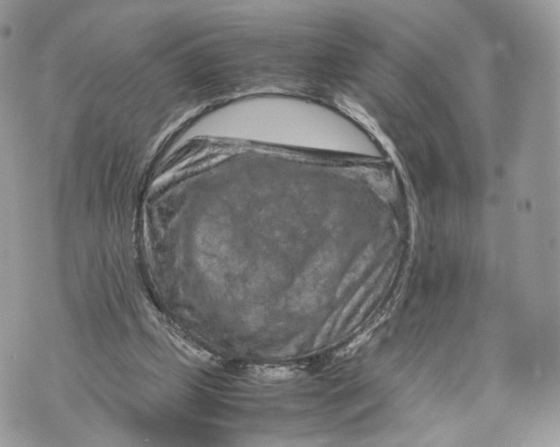 X0000070190249200606161558