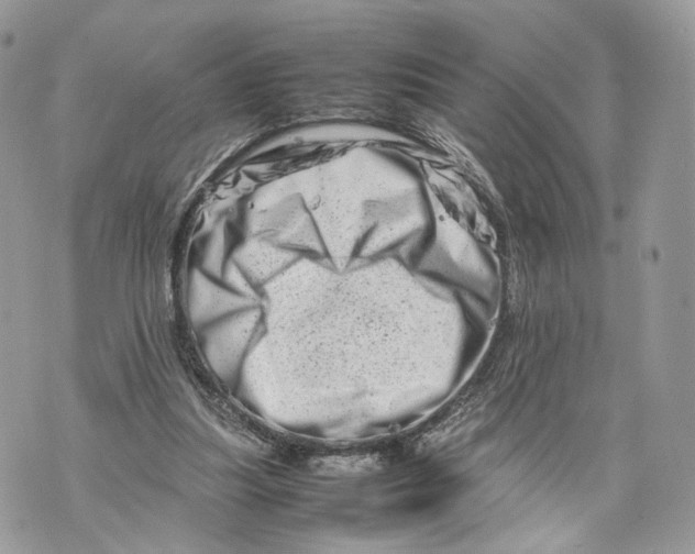 X0000070190251200606161558