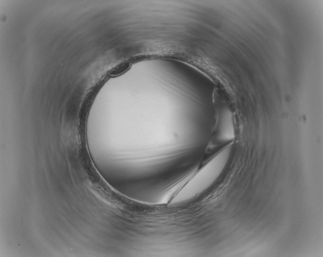 X0000070190252200606161558