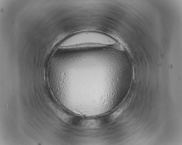 X0000070190253200606161558