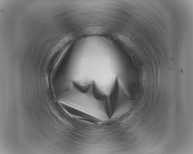 X0000070190254200606161558