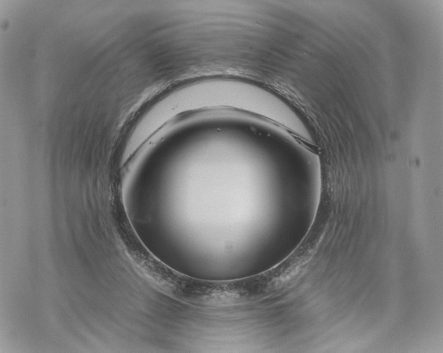 X0000070190256200606161558